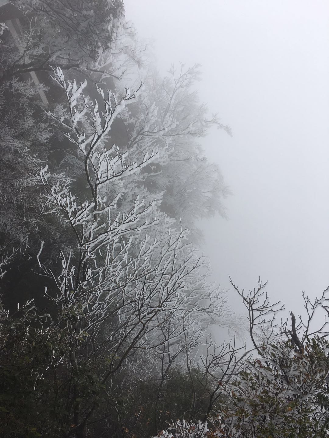 1548571207209359.jpg 微信圖片_2019012711552115.jpg