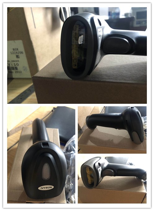 IVY-2808.jpg IVY-2808.jpg