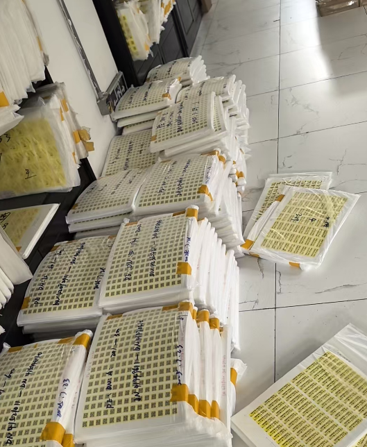 1754382695879566.png 1754382695879566.png